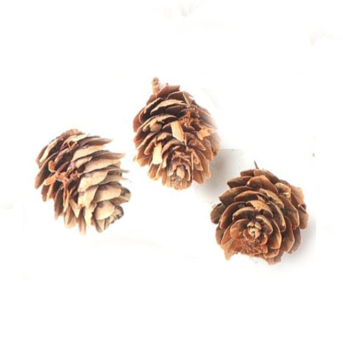 Pine Cones, Mini - 10 of