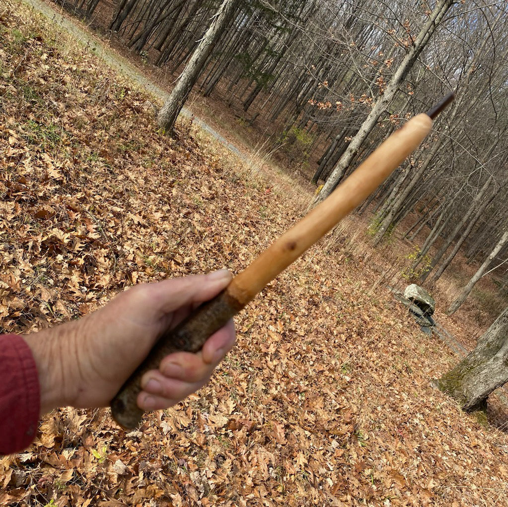 Beech Wand