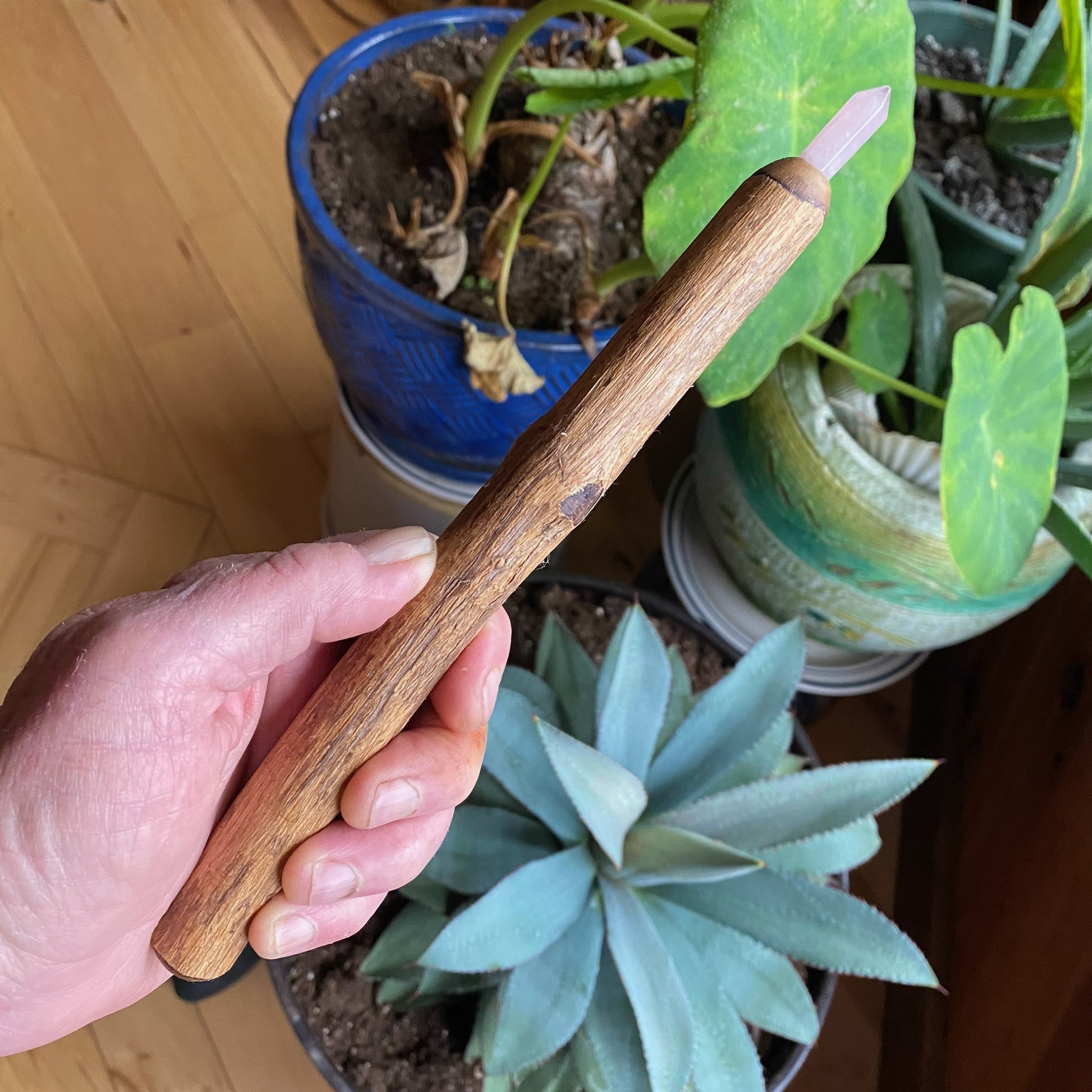 Buddleia Wand with Point