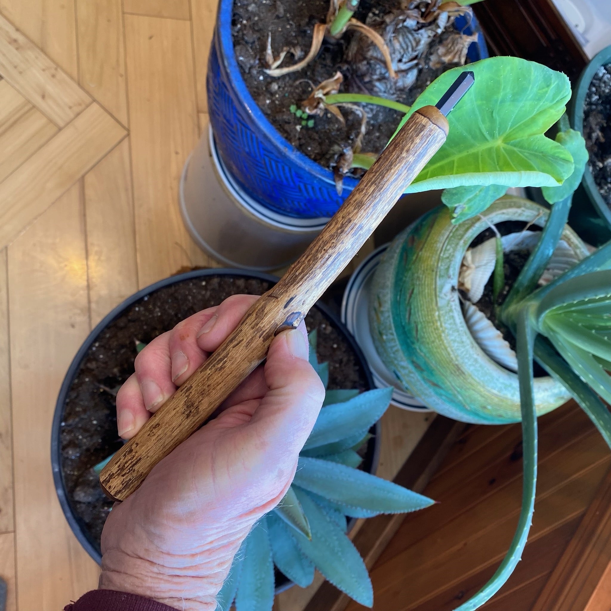 Buddleia Wand with Point