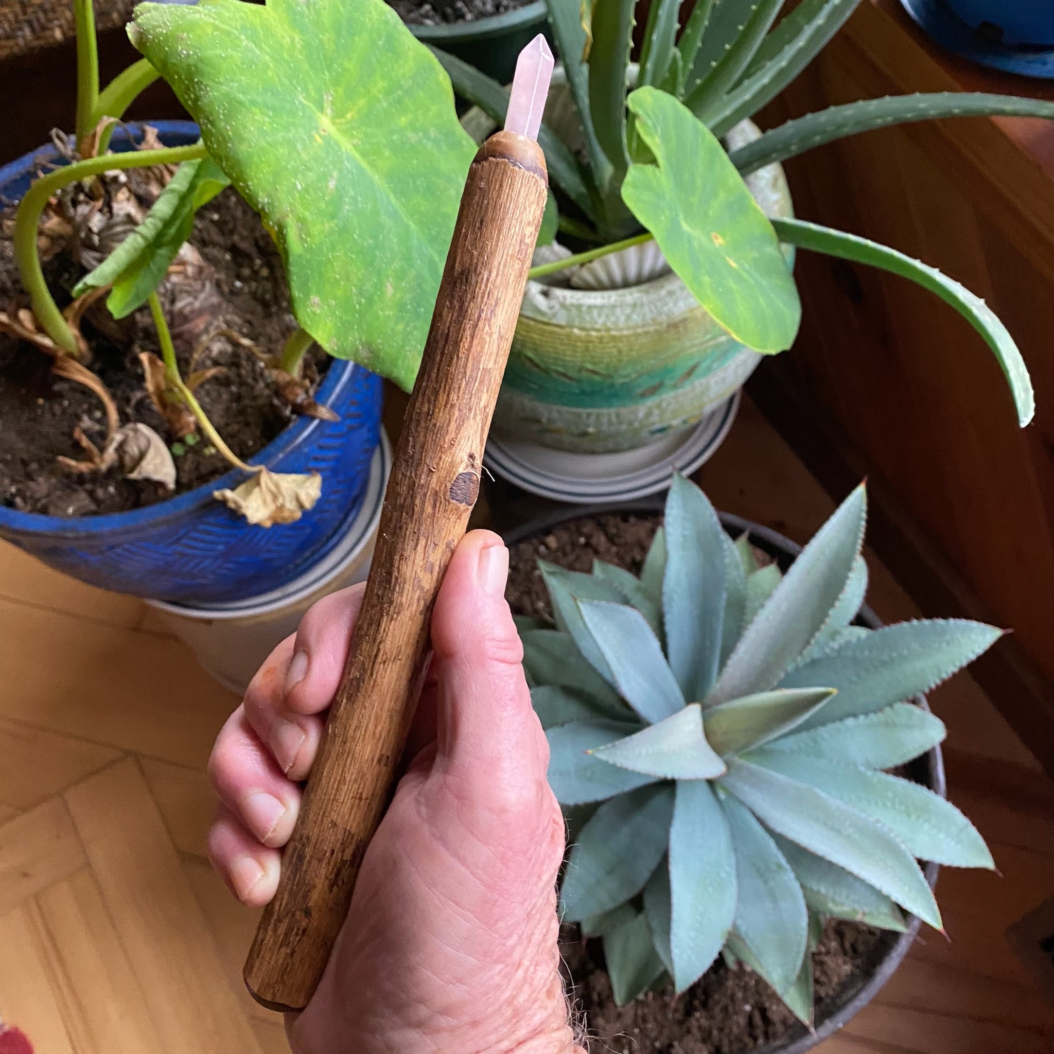 Buddleia Wand with Point