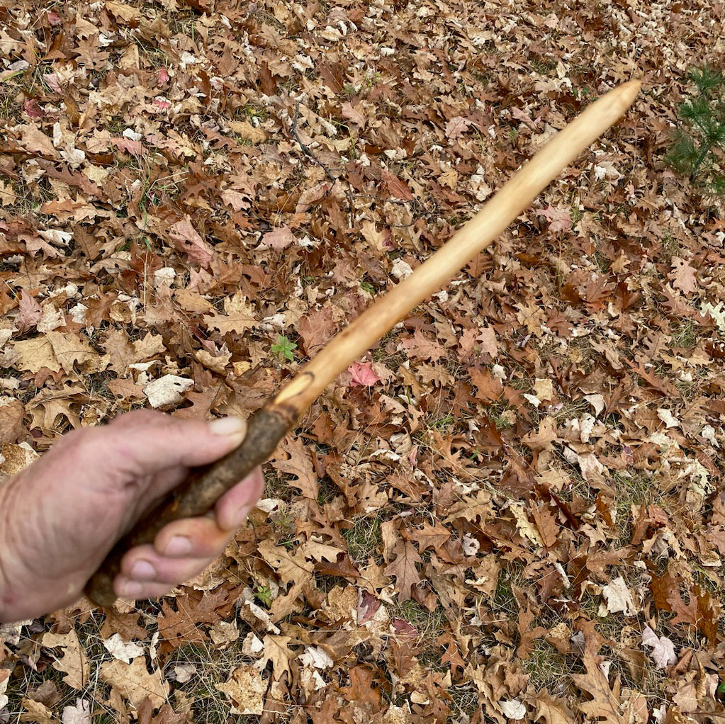 Chestnut Wand