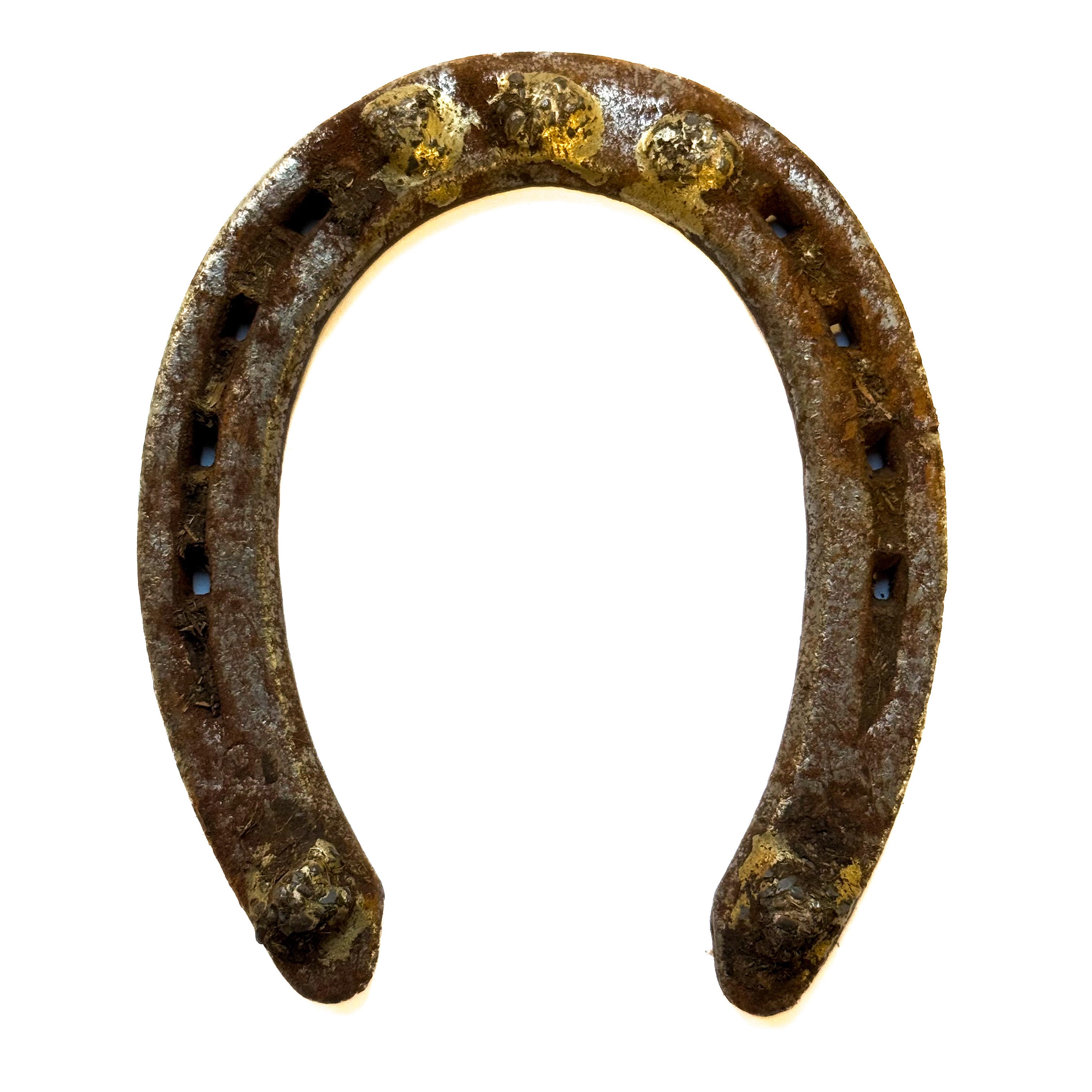 Horseshoe, Authentic Large