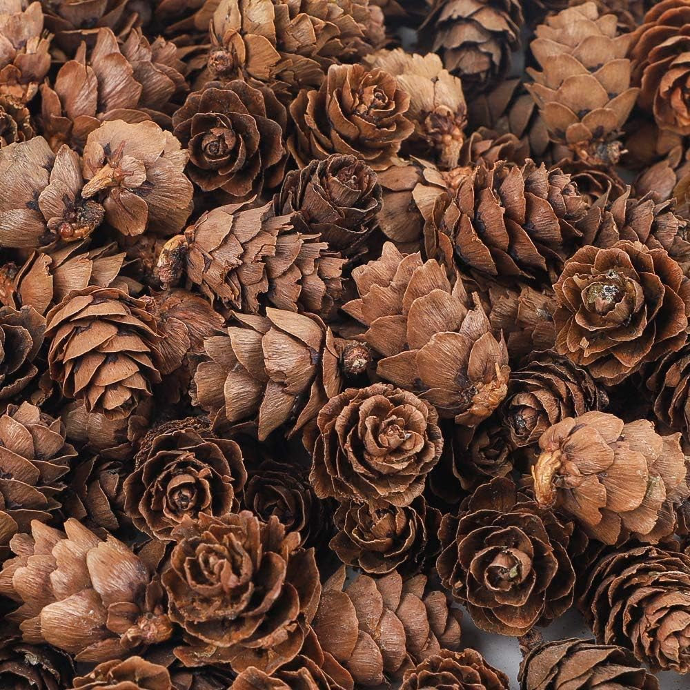 Pine Cones, Mini - 10 of