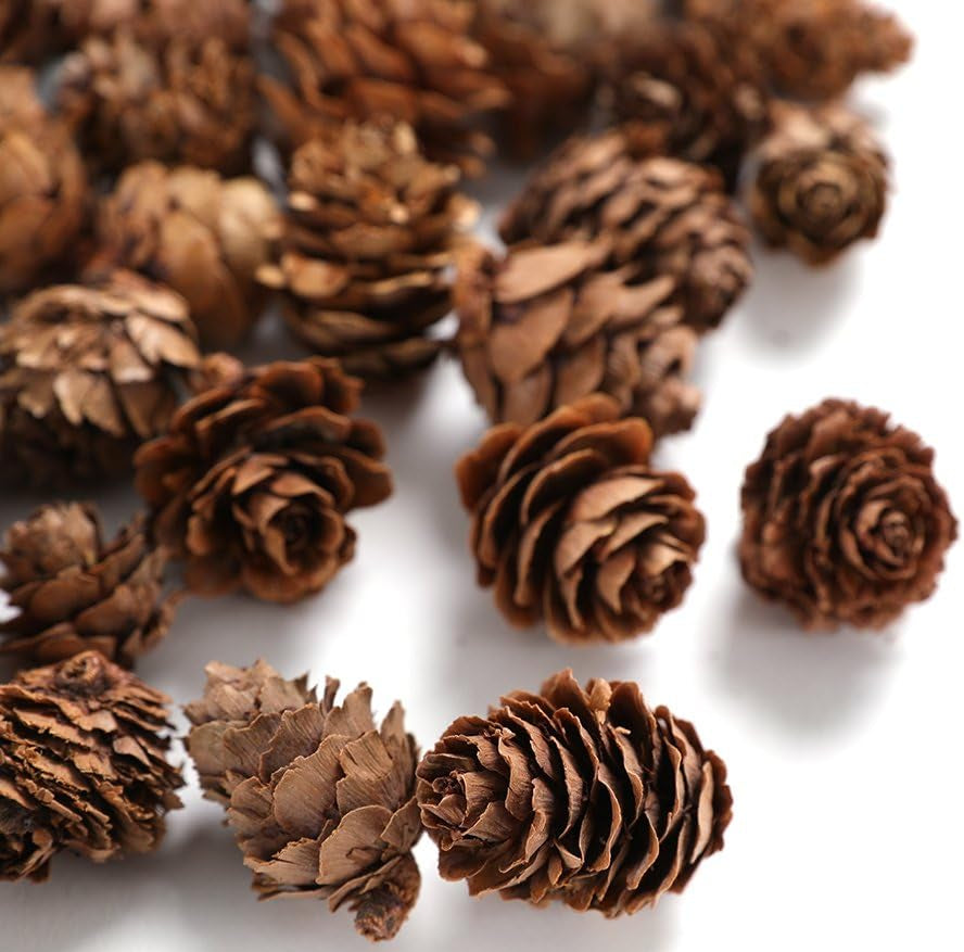 Pine Cones, Mini - 10 of