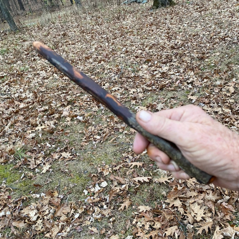 Plum Wand