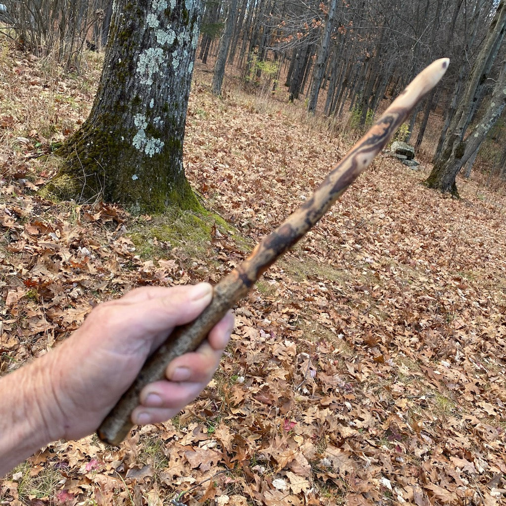 Poplar Wand