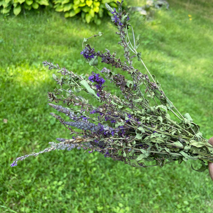 Purple Loosestrife Herb Bundle