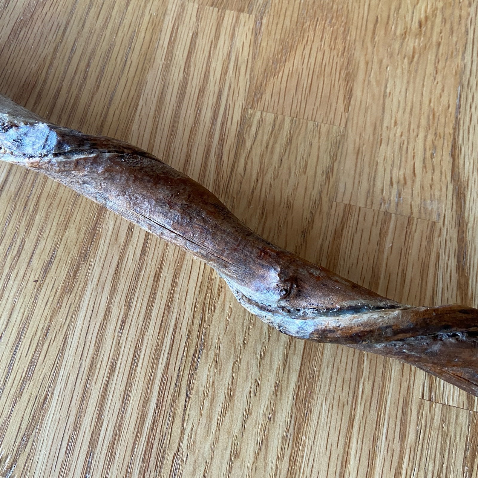 Sorcerer's Wand