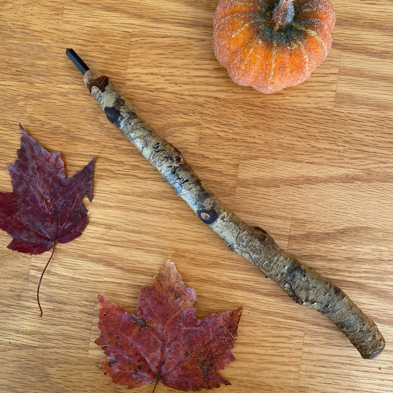 White Birch Wand