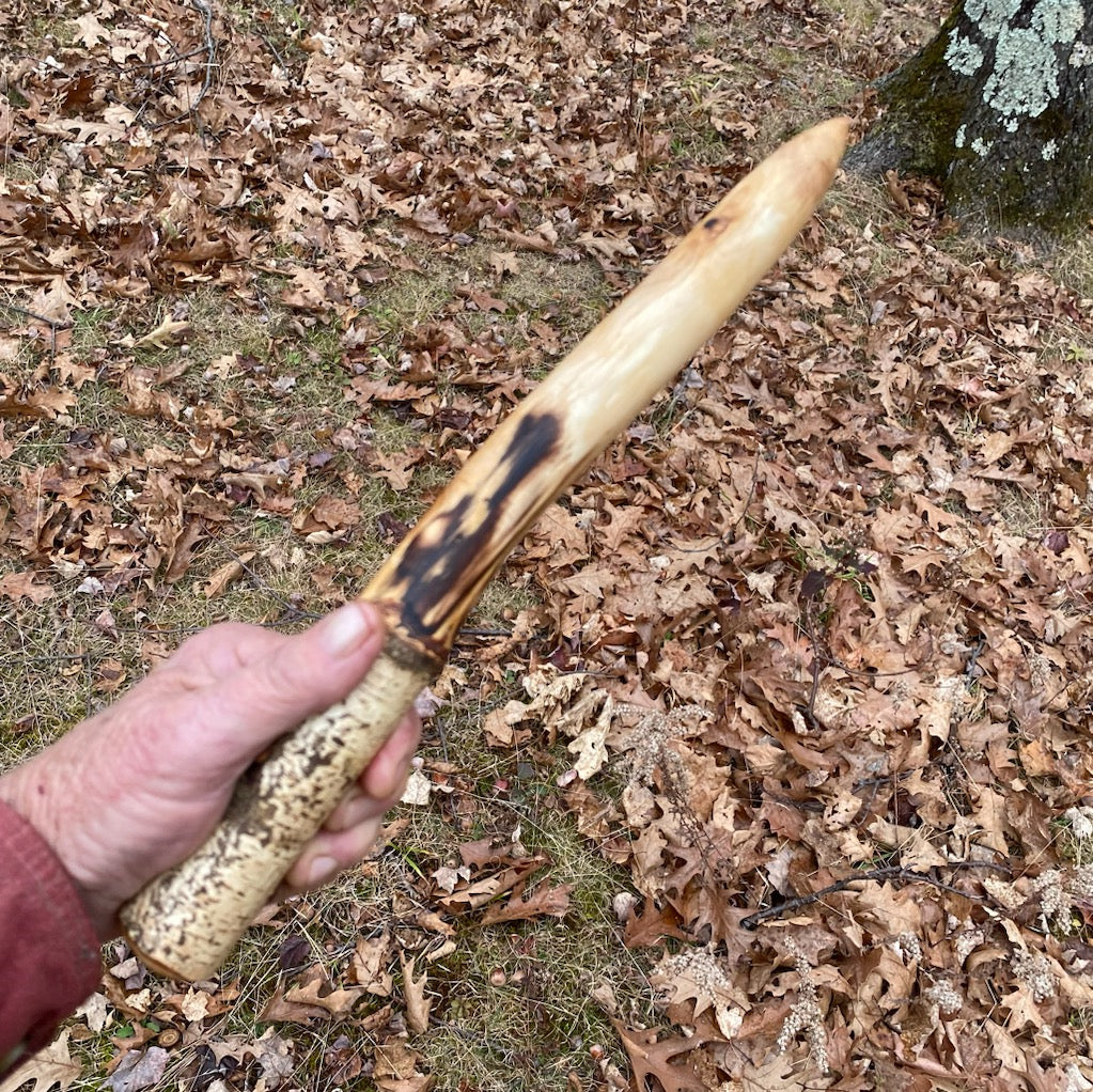 White Birch Wand