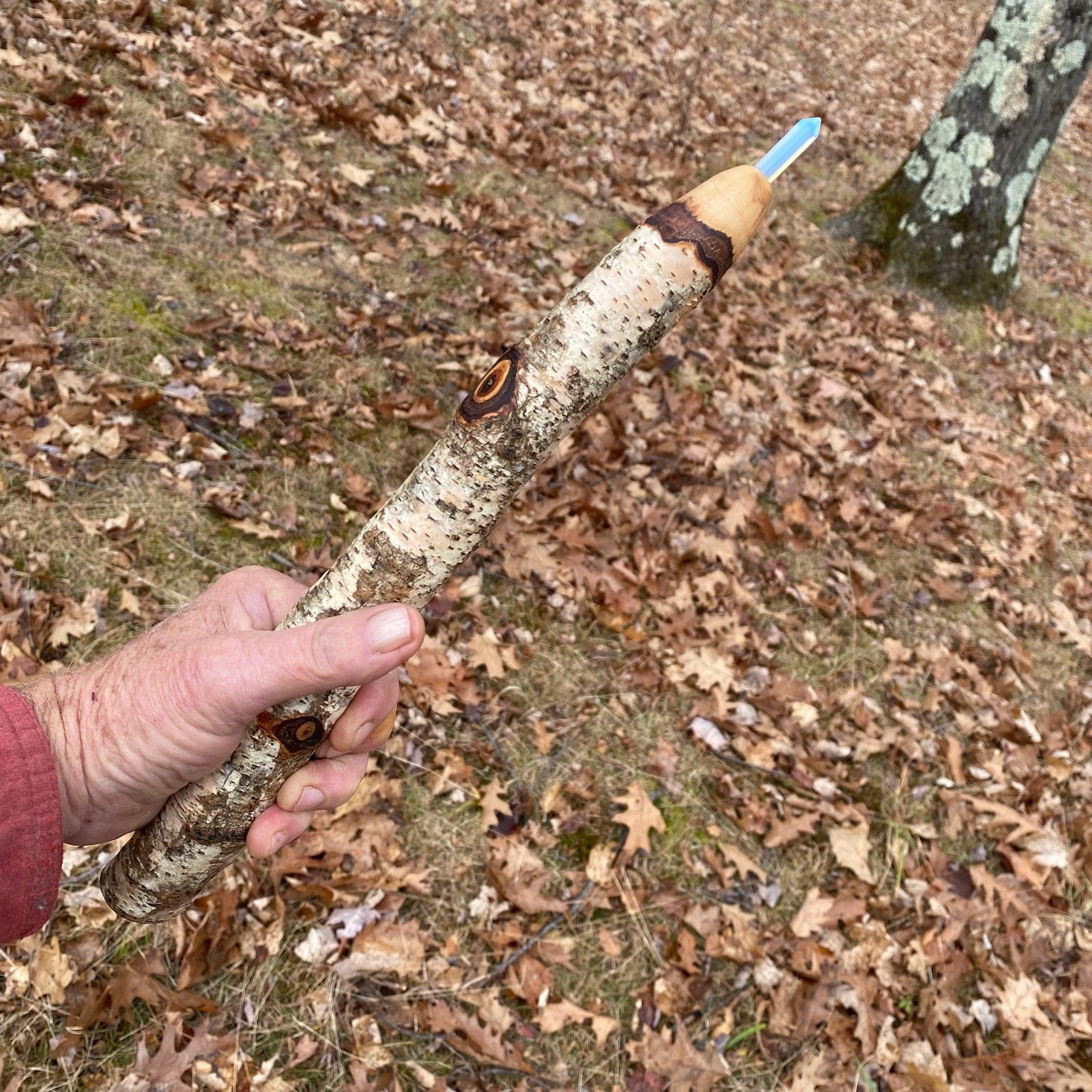 White Birch Wand