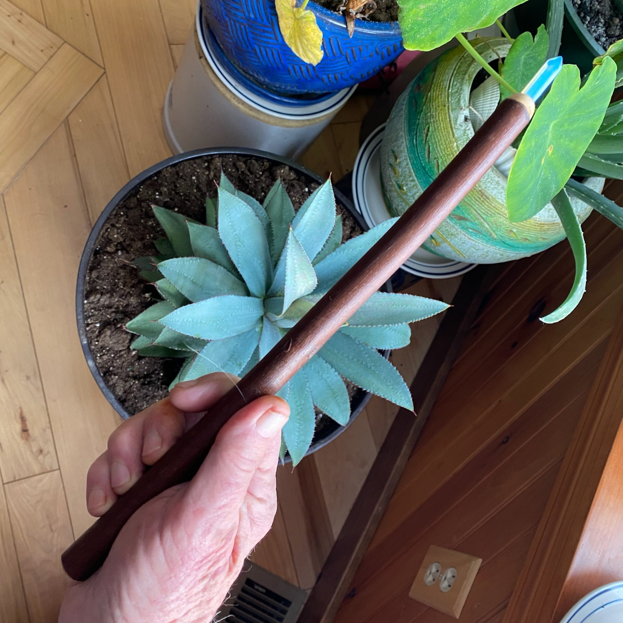 Willow Wand