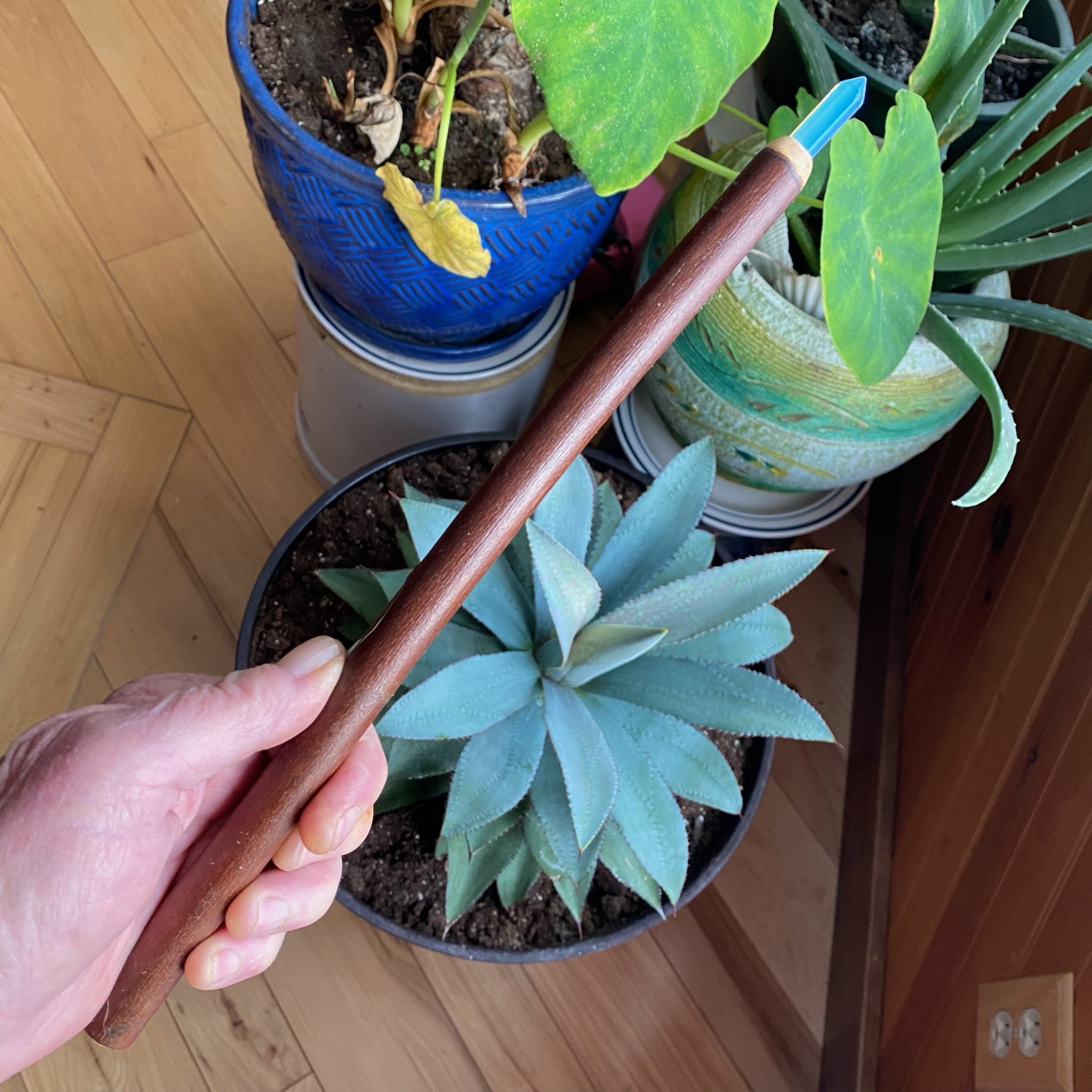 Willow Wand