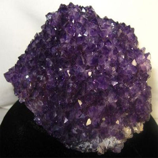 Amethyst Cluster Medium - 13 Moons