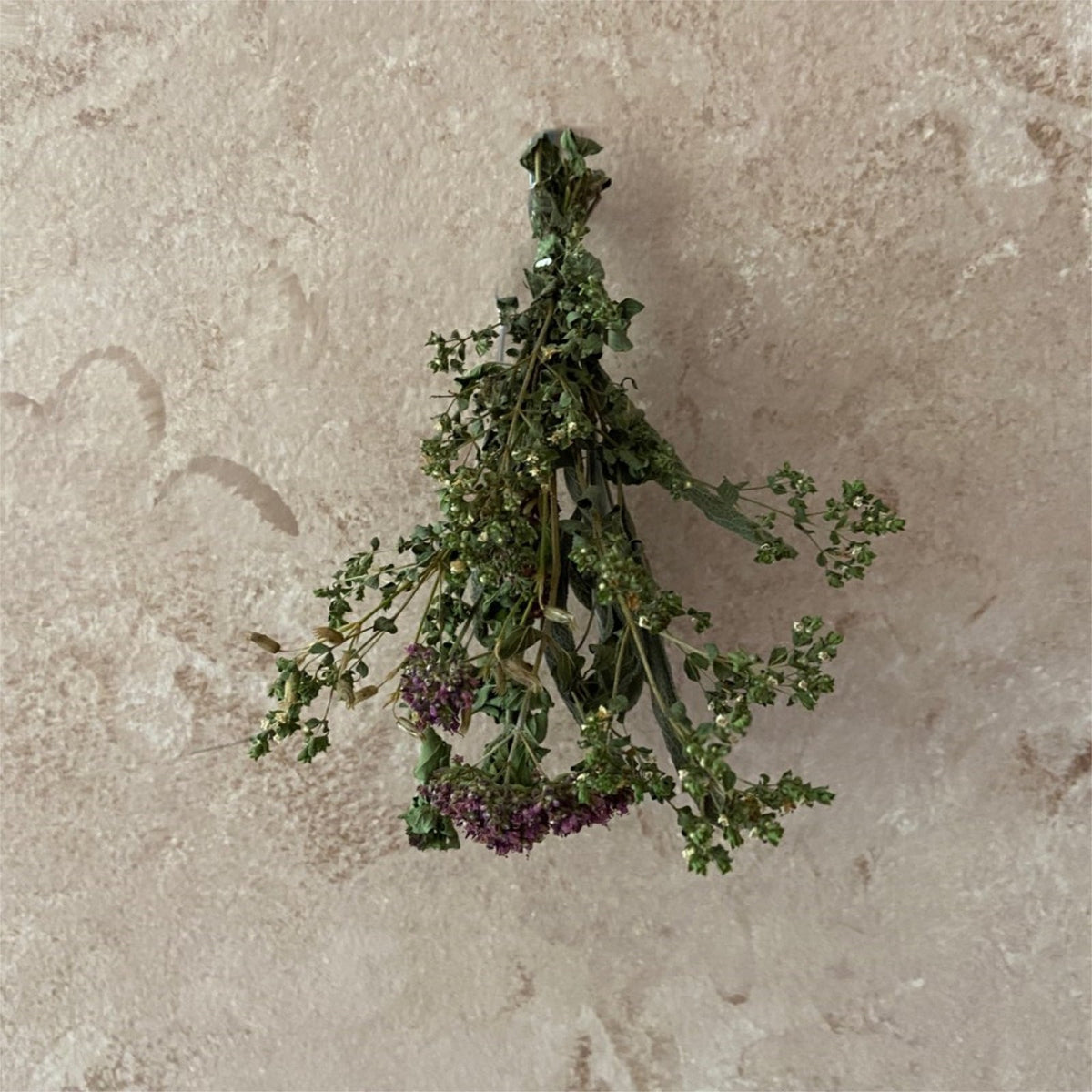 Garden Witches Herb Bundle | Spell Crafting Herbs from 13 Moons