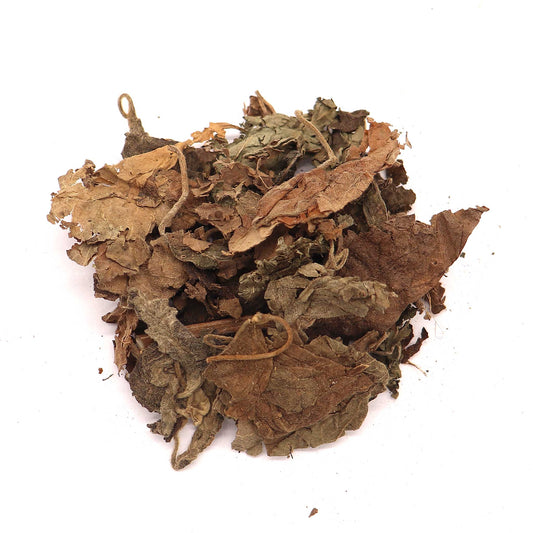 Patchouli Leaf - 1 oz - 13 Moons