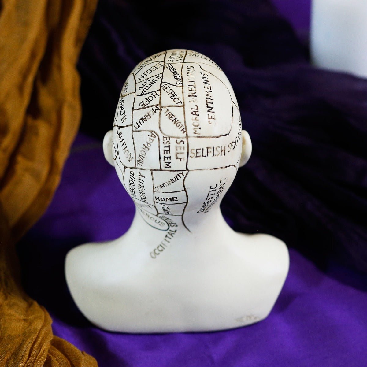 Silicone Head+ TPE Body – SculptureArt