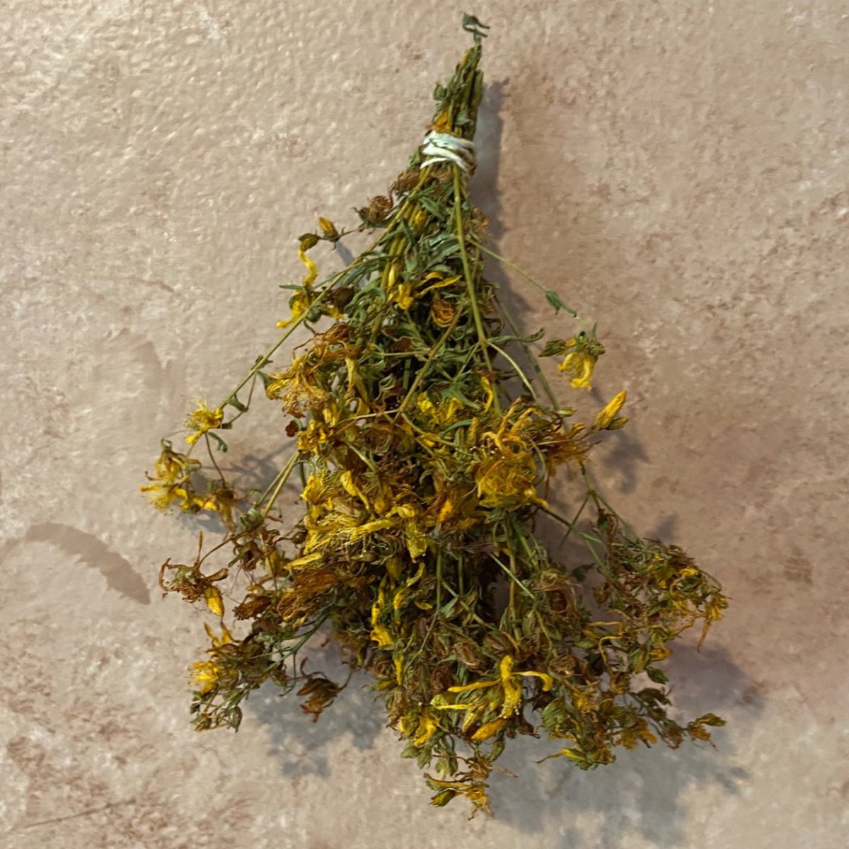 St Johns Wort Bundle - 13 Moons