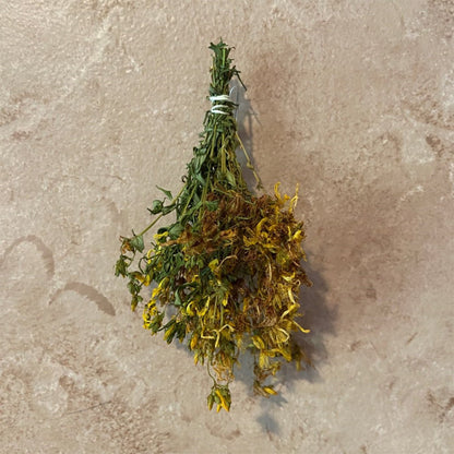 St Johns Wort Bundle - 13 Moons