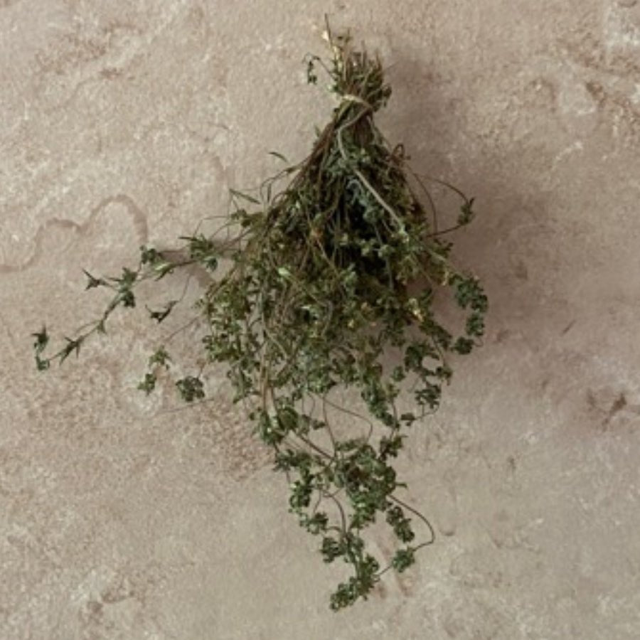 Garden Thyme – Roots of Medicine